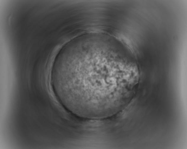 X0000092300145200709211237
