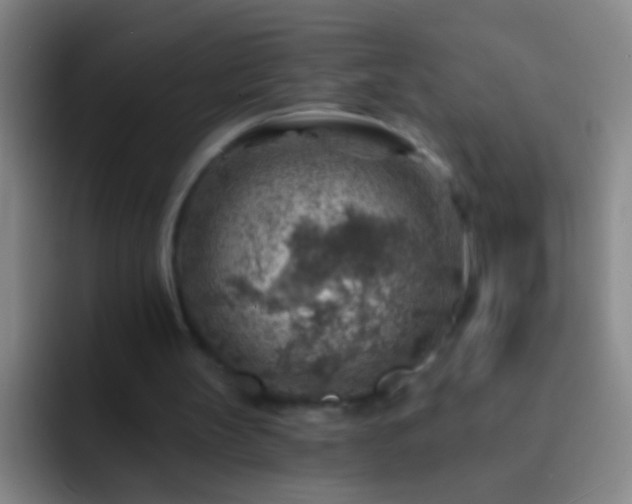 X0000092300147200709211237