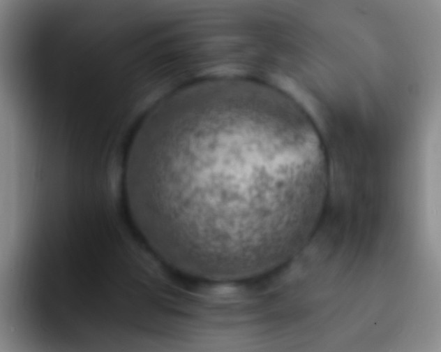 X0000092300153200709211237