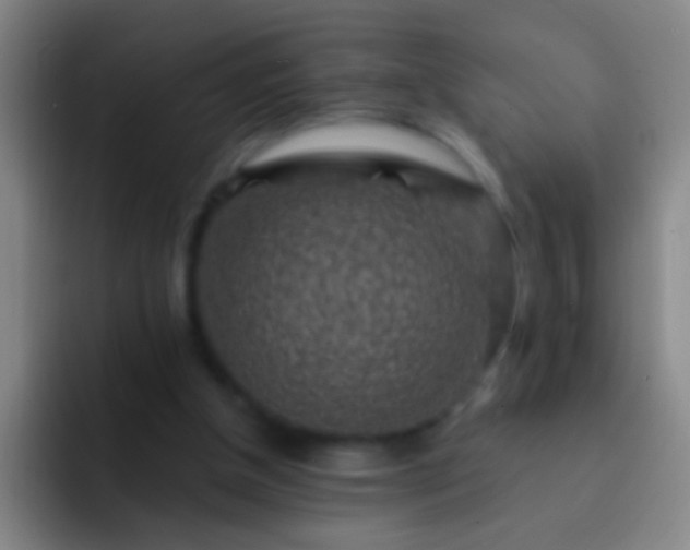 X0000092300154200709211237