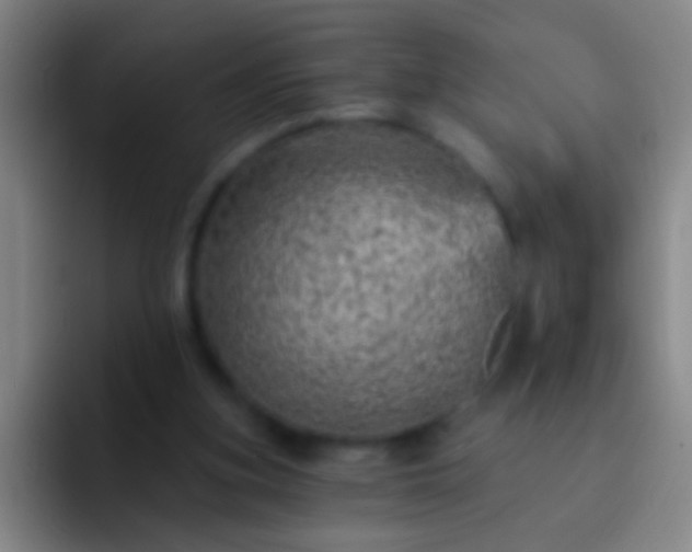 X0000092300155200709211237