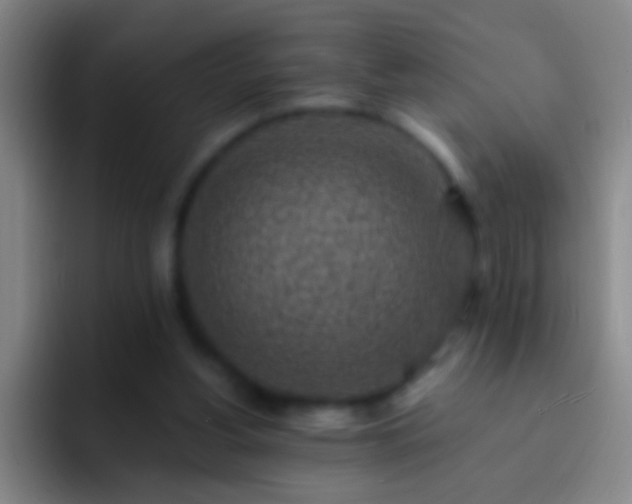 X0000092300156200709211237