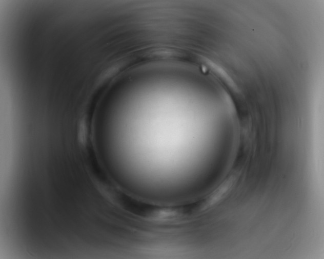 X0000092300158200709211237