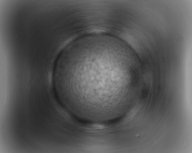 X0000092300159200709211237