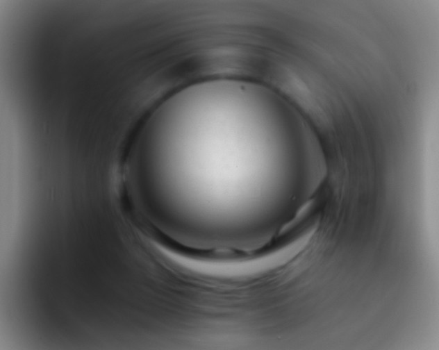 X0000092300160200709211237