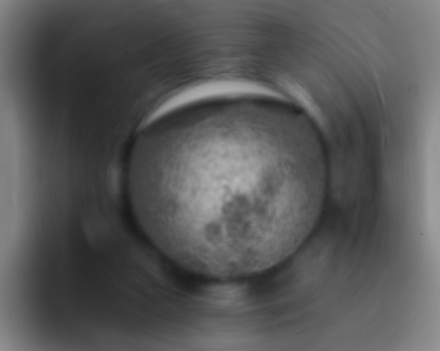 X0000092300161200709211237