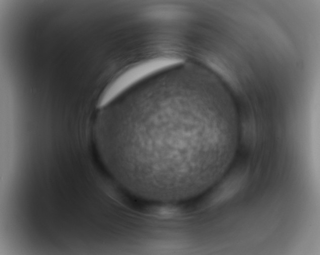 X0000092300165200709211237