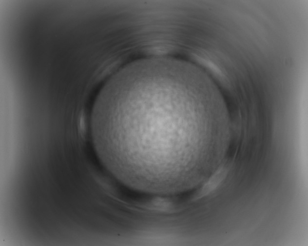 X0000092300166200709211238
