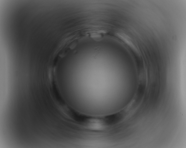 X0000092300167200709211238