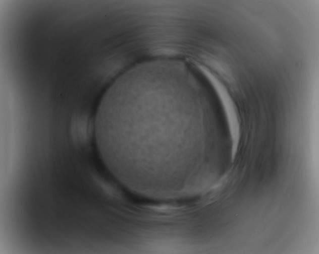 X0000092300168200709211238
