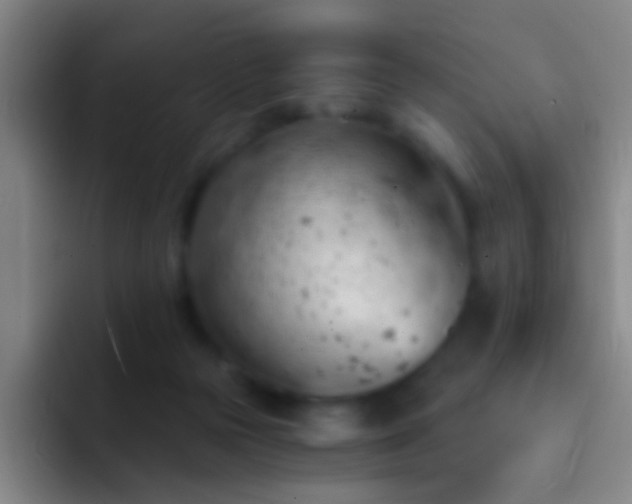 X0000092300169200709211238