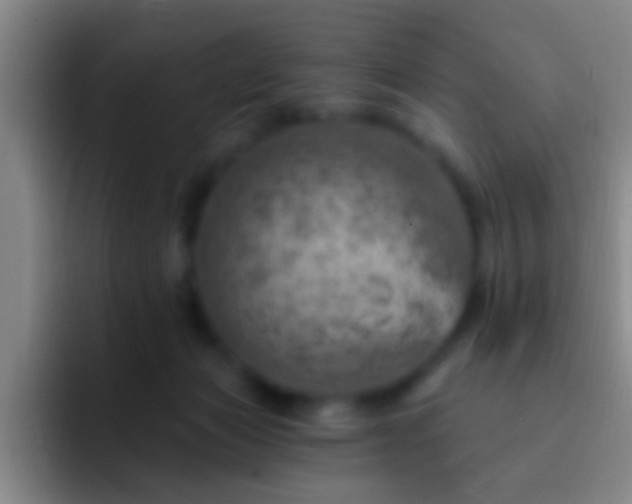 X0000092300173200709211238