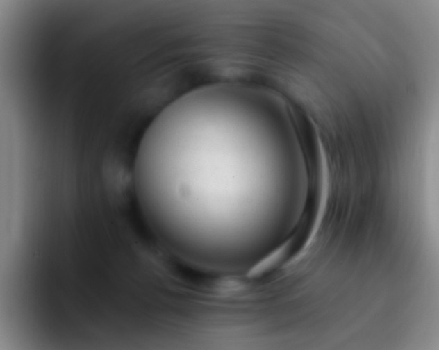 X0000092300176200709211238