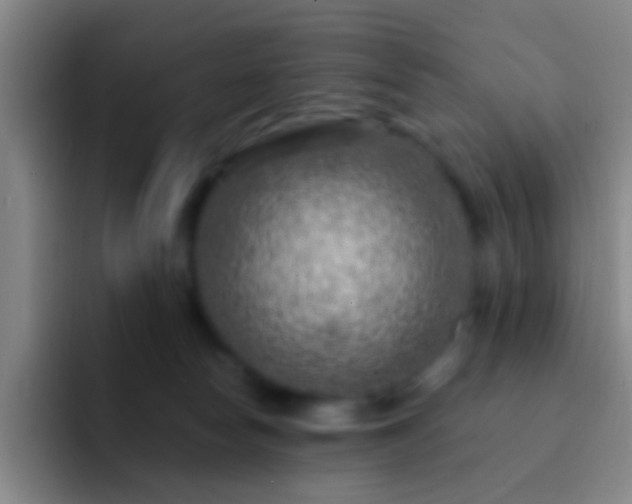 X0000092300178200709211238
