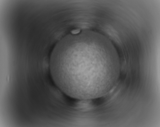 X0000092300179200709211238