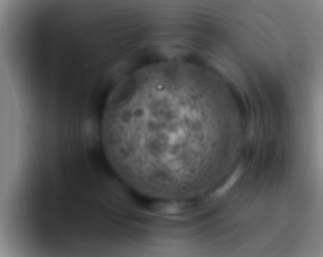 X0000092300182200709211238