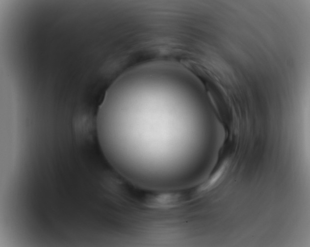 X0000092300184200709211238