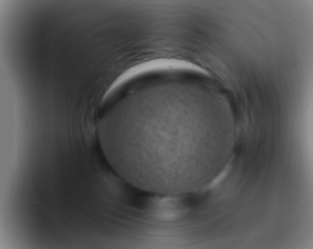X0000092300186200709211238