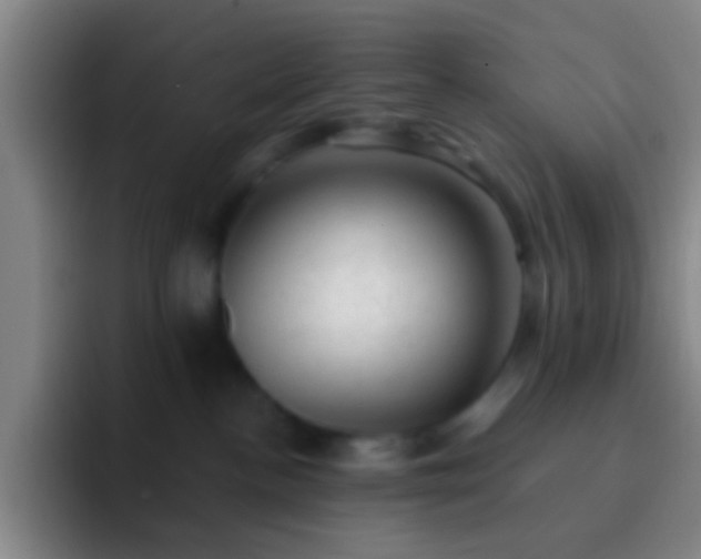 X0000092300188200709211238