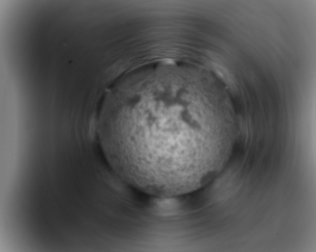 X0000092300189200709211238
