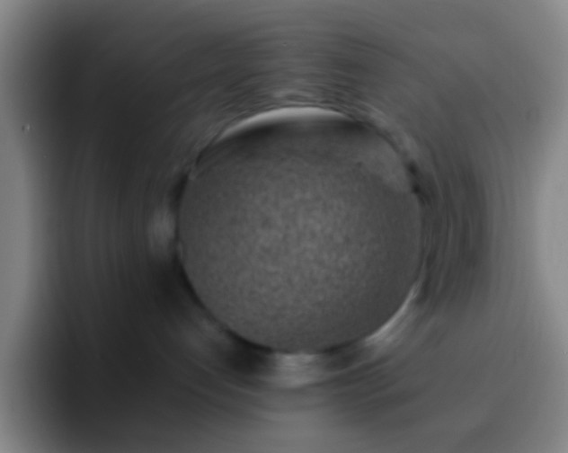 X0000092300192200709211238