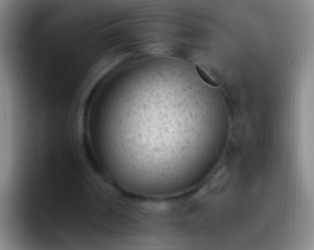 X0000092300194200709211237
