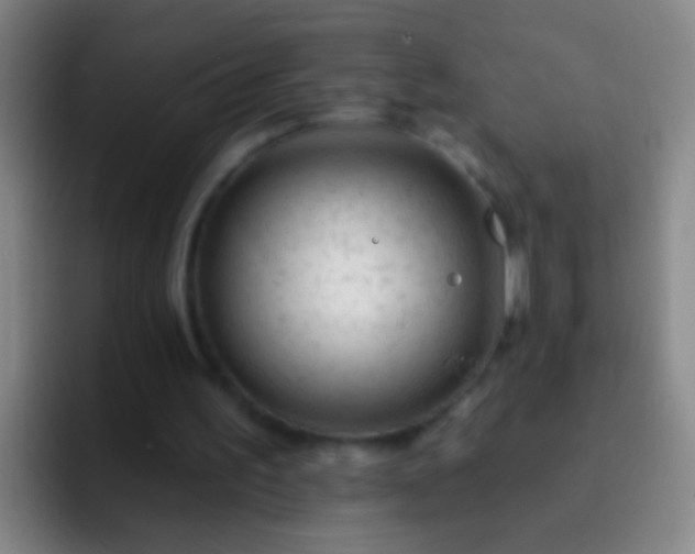 X0000092300195200709211237
