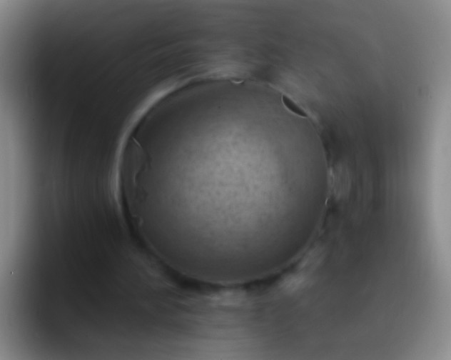 X0000092300196200709211237