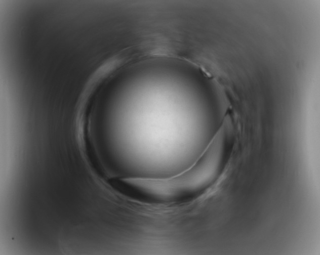 X0000092300197200709211237