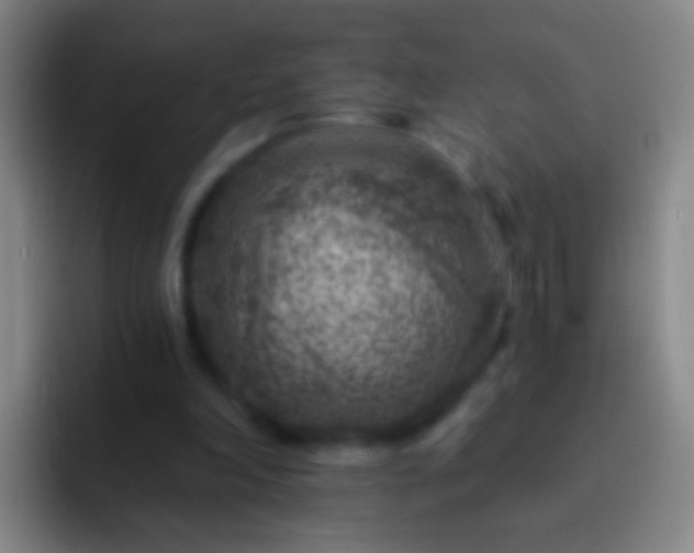 X0000092300198200709211237