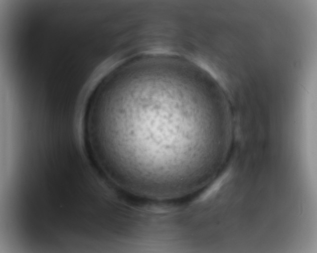 X0000092300199200709211237