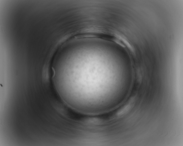 X0000092300203200709211237