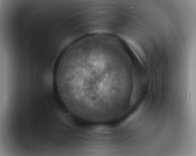 X0000092300204200709211237