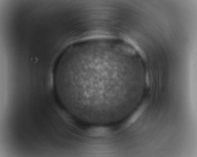 X0000092300205200709211237