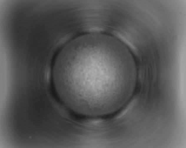 X0000092300206200709211237