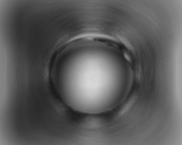 X0000092300207200709211237