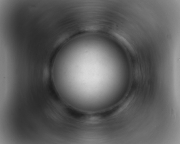 X0000092300208200709211237