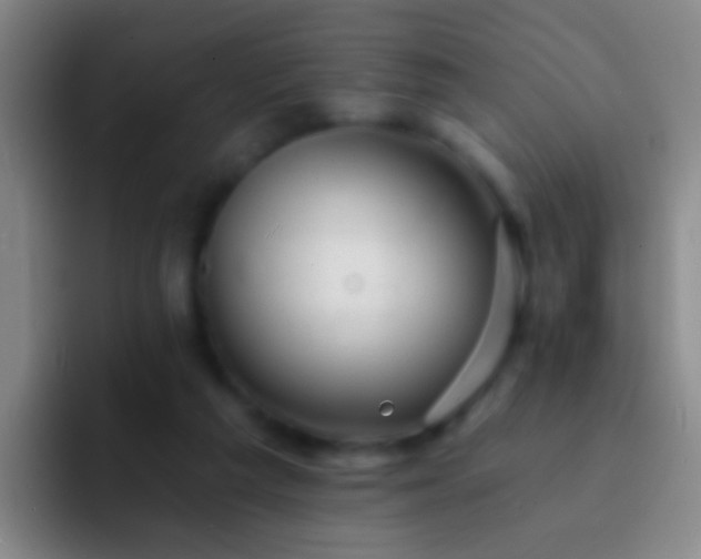 X0000092300209200709211237