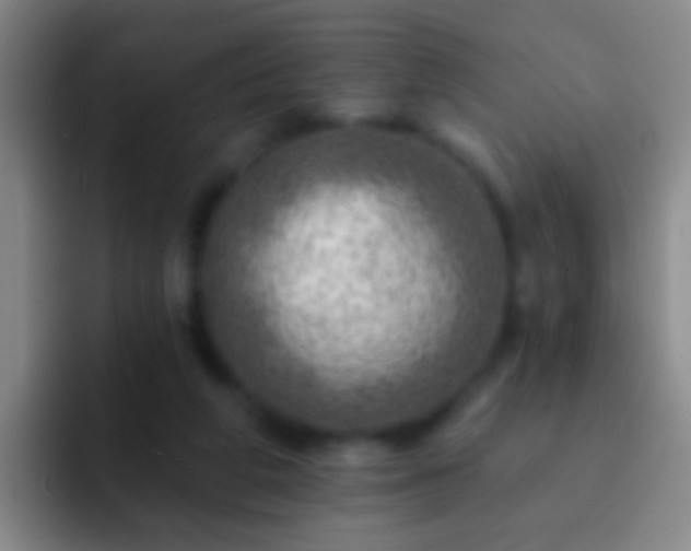 X0000092300210200709211237