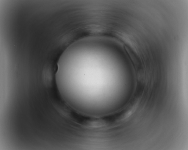 X0000092300215200709211237