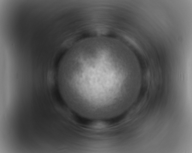 X0000092300218200709211237