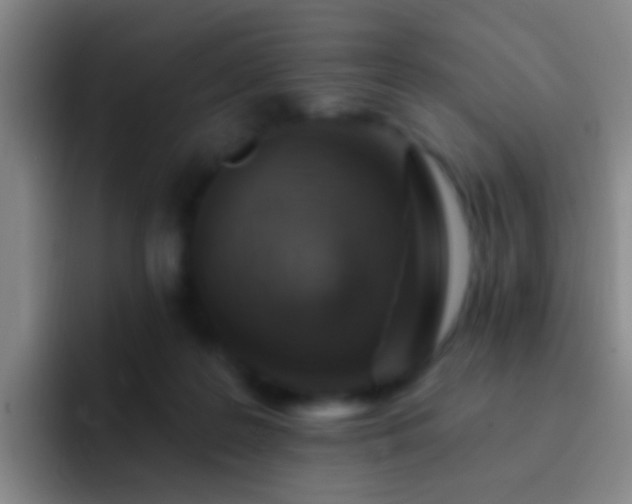 X0000092300219200709211237