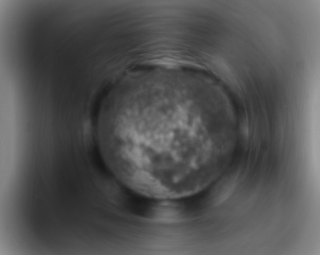 X0000092300222200709211237