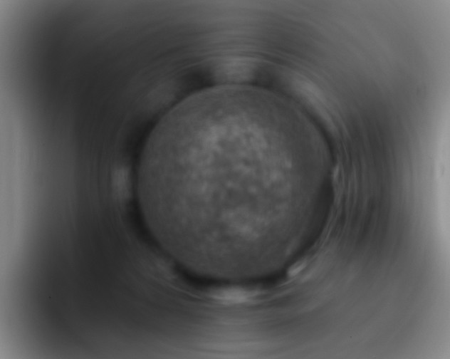 X0000092300224200709211237