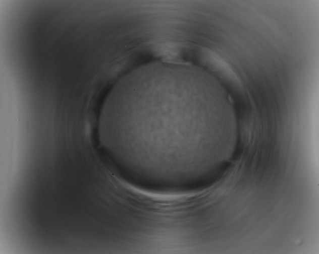 X0000092300229200709211237