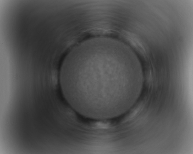 X0000092300232200709211237
