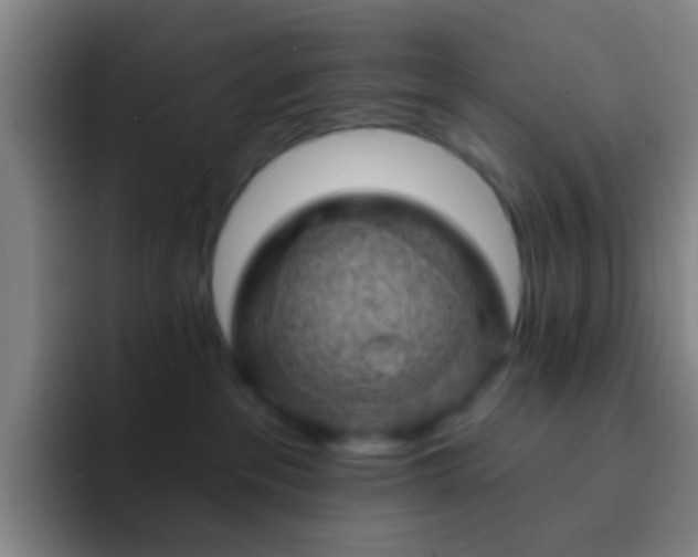X0000092300237200709211237