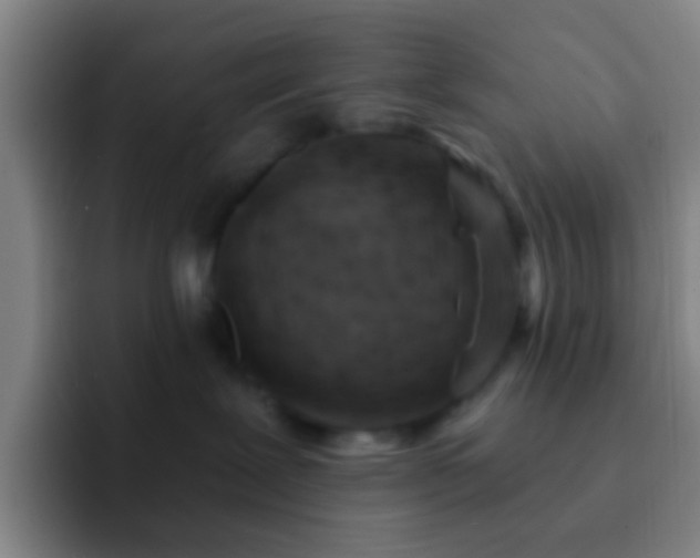 X0000092300239200709211237