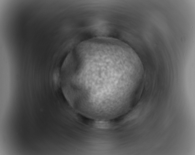 X0000092300240200709211237