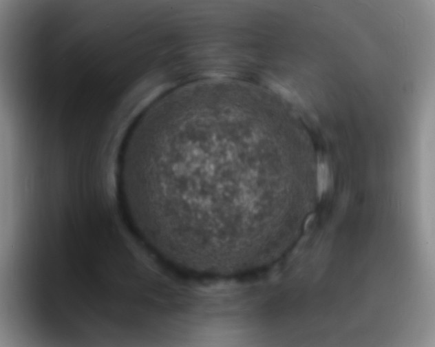 X0000092300243200709211236